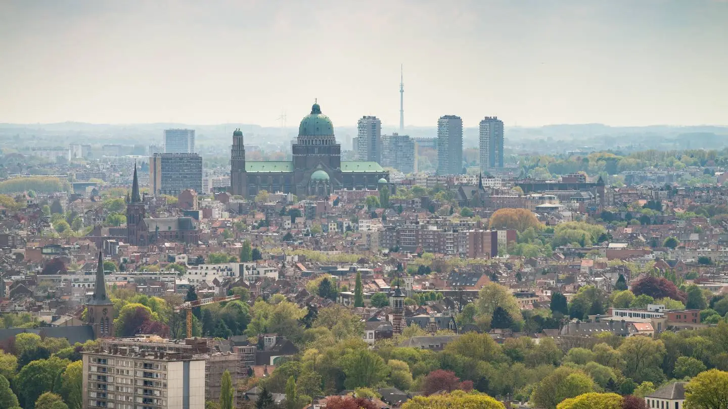 luchtfoto van bos in Brussel