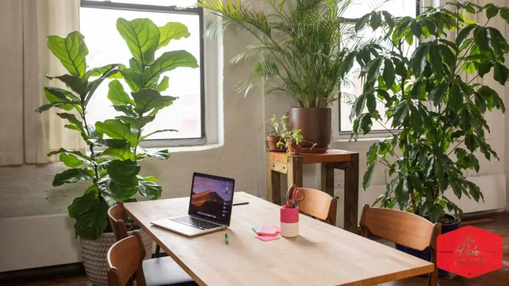 Comment réutiliser ou recycler des meubles de bureau ? 3 meubles bureau seconde main